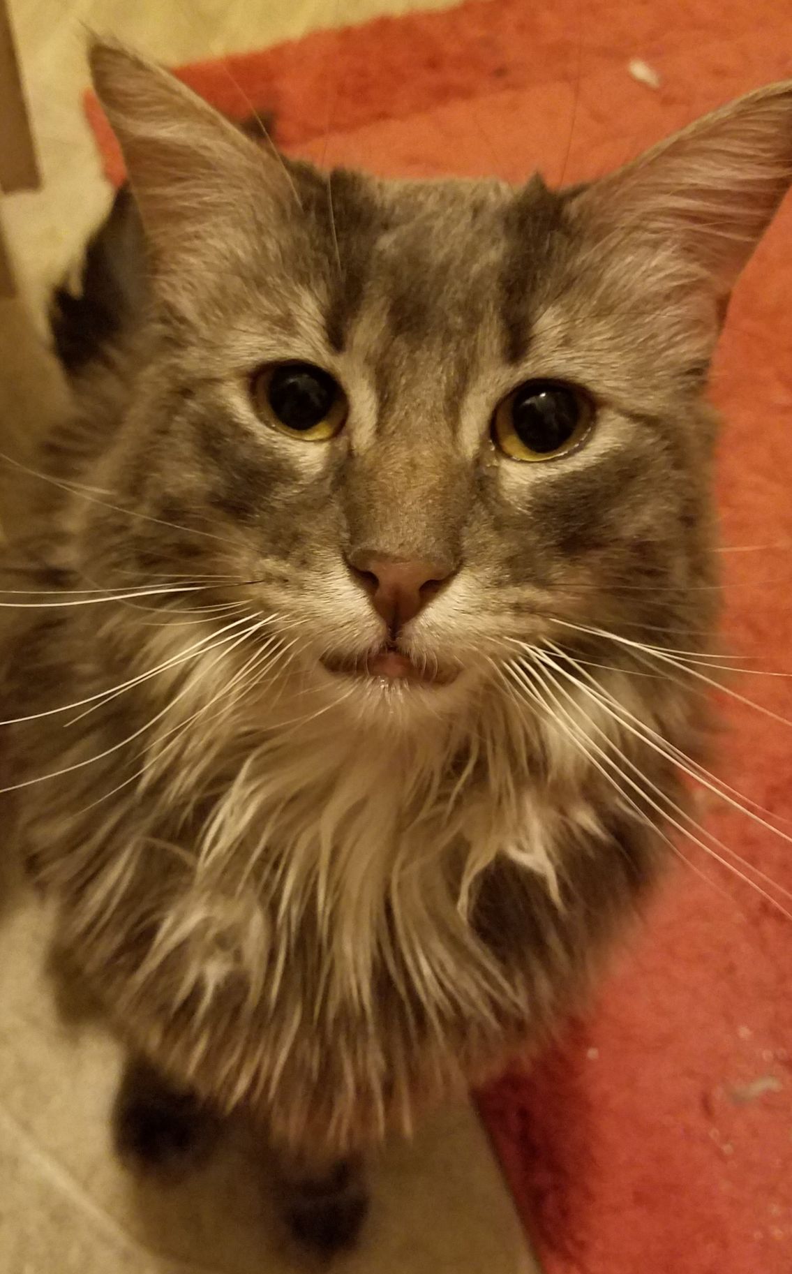 Jinx